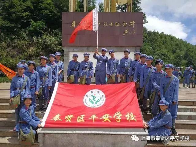 救援小肥兔